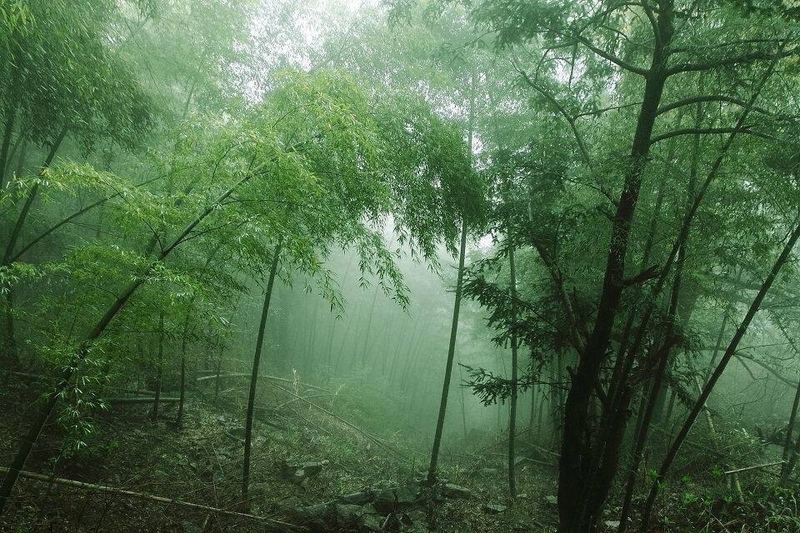 为什么说健康的性心理是高质量生活的基石 为什么说健康的性心理是高质量生活的基石