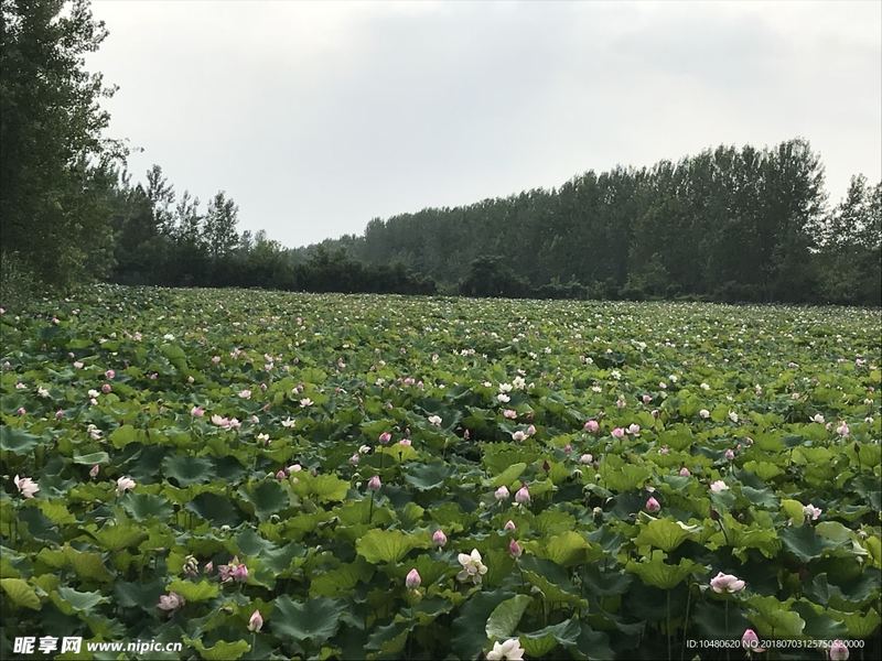 瑜伽对心理健康有什么好处的正确打开方式,建议收藏 瑜伽对心理健康有什么好处的正确打开方式,建议收藏