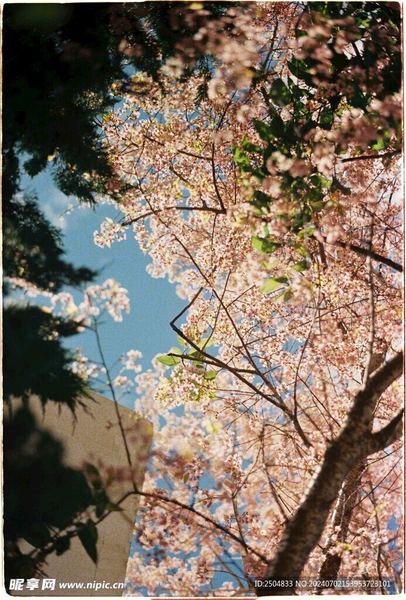 前任找你是想复合还是暧昧:一个过来人的血泪教训 前任找你是想复合还是暧昧:一个过来人的血泪教训