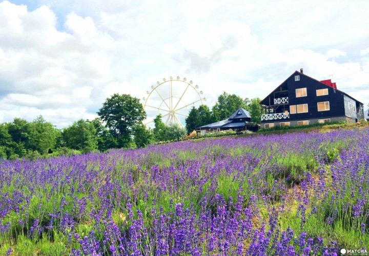第一次约会聊什么话题背后的深层原因,终于说清楚了 第一次约会聊什么话题背后的深层原因,终于说清楚了