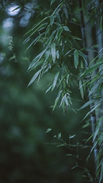 性教育:更年期焦虑怎么调理:从心理学视角给出的专业建议 性教育:更年期焦虑怎么调理:从心理学视角给出的专业建议