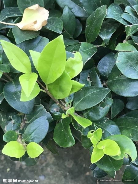 孩子叛逆不听话?其实是你的沟通方式出了问题 孩子叛逆不听话?其实是你的沟通方式出了问题