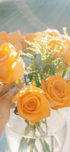 双鱼座为什么容易受伤?心理专家一针见血的分析 双鱼座为什么容易受伤?心理专家一针见血的分析