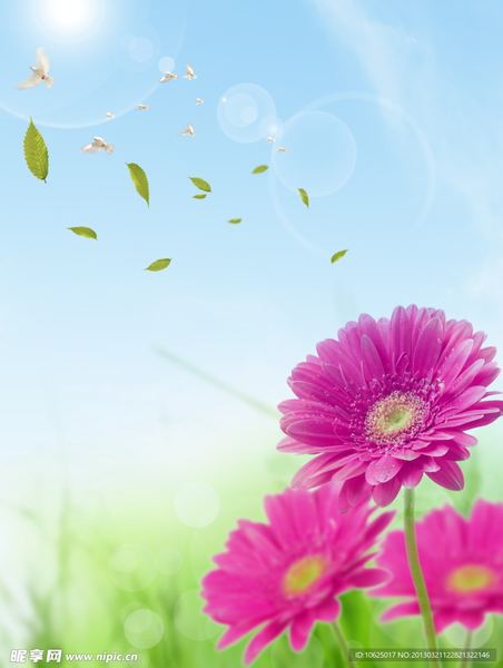 怎么调节生物钟:一个过来人的血泪教训 怎么调节生物钟:一个过来人的血泪教训