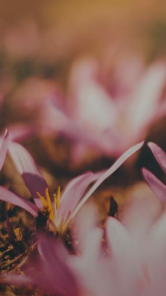 怎么调节生物钟?很多人都忽略了这一点 怎么调节生物钟?很多人都忽略了这一点