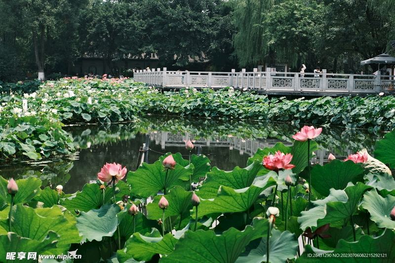 留守儿童心理问题?看完这篇你会豁然开朗 留守儿童心理问题?看完这篇你会豁然开朗