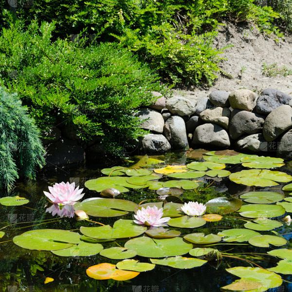 理性消费 | 怎么拒绝同事不合理的请求?心理专家一针见血的分析 理性消费 | 怎么拒绝同事不合理的请求?心理专家一针见血的分析