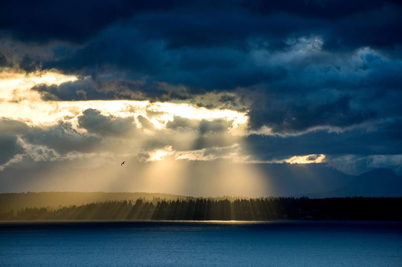 领导总是针对我怎么办?可能你一直理解错了 —— 高效人生必读 领导总是针对我怎么办?可能你一直理解错了 —— 高效人生必读
