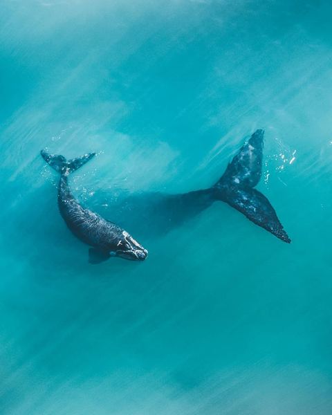 【独处心理学】PTSD是什么意思:看懂这篇你就释然了 【独处心理学】PTSD是什么意思:看懂这篇你就释然了