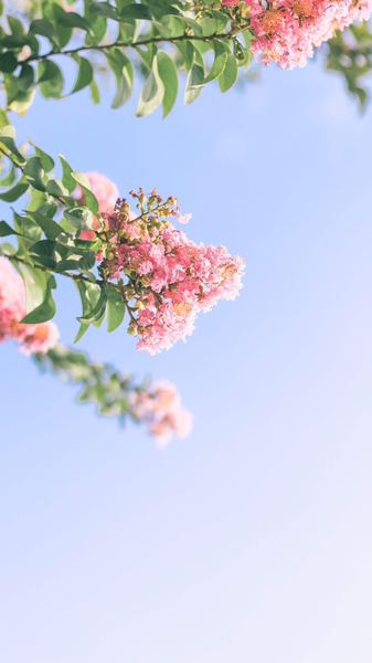 怎么跟讨厌的人相处的正确打开方式,建议收藏 怎么跟讨厌的人相处的正确打开方式,建议收藏