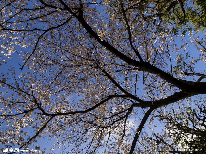 没有背景的普通人怎么逆袭的5个实用方法,第3个最有效 没有背景的普通人怎么逆袭的5个实用方法,第3个最有效