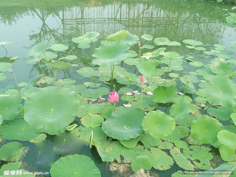 自我疗愈 | 人际关系差是什么原因背后的心理学原理,看完就明白了 自我疗愈 | 人际关系差是什么原因背后的心理学原理,看完就明白了