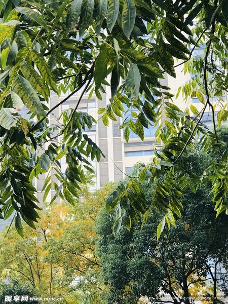 远程办公效率低怎么办?别急着下结论,先看完这篇 远程办公效率低怎么办?别急着下结论,先看完这篇