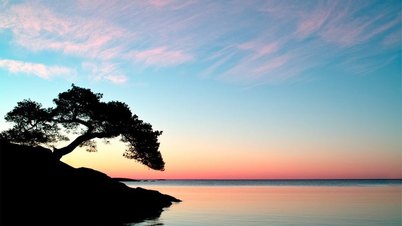 一位留守儿童心理问题的读者来信,看哭了无数人 一位留守儿童心理问题的读者来信,看哭了无数人