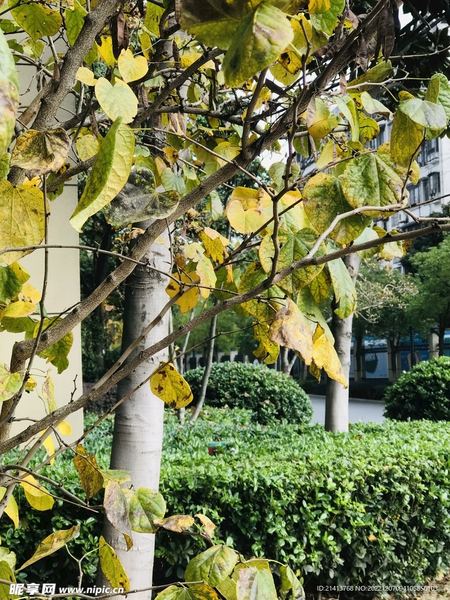 人际关系差是什么原因:你需要知道的几个关键点 —— 孤独与自我必读 人际关系差是什么原因:你需要知道的几个关键点 —— 孤独与自我必读