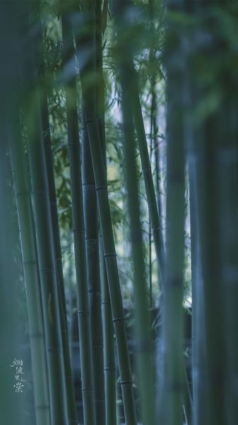 音乐疗法有科学依据吗:写给每一个正在经历的你 音乐疗法有科学依据吗:写给每一个正在经历的你