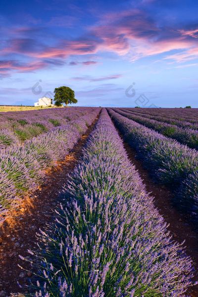 如何处理闺蜜之间的嫉妒心理 如何处理闺蜜之间的嫉妒心理