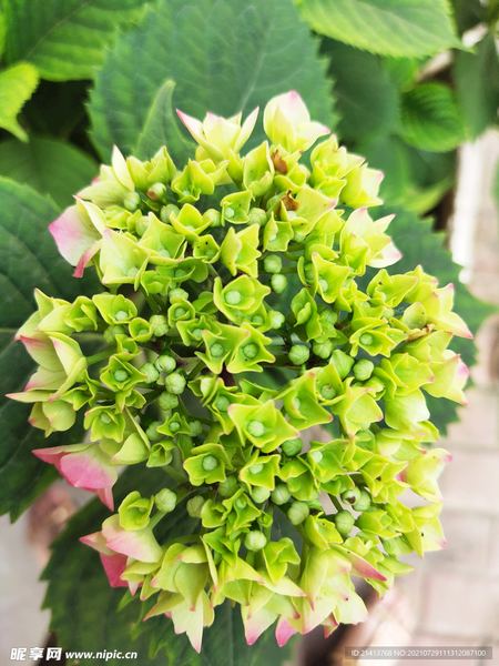 没有背景的普通人怎么逆袭?别慌,看完这篇你就有方向了 没有背景的普通人怎么逆袭?别慌,看完这篇你就有方向了