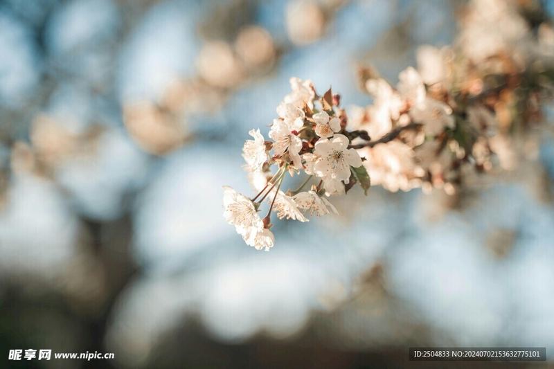 催婚压力大怎么应对?看完这篇你会豁然开朗 —— 心事秘密必读 催婚压力大怎么应对?看完这篇你会豁然开朗 —— 心事秘密必读