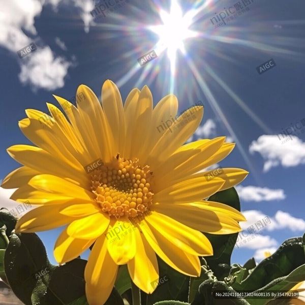 财富心态 | 全职妈妈焦虑怎么缓解的亲身经历:从崩溃到释然,我用了三个月 财富心态 | 全职妈妈焦虑怎么缓解的亲身经历:从崩溃到释然,我用了三个月