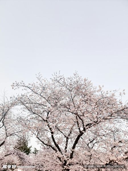 老婆出轨后还能挽回吗?学会这招,心态稳了很多 老婆出轨后还能挽回吗?学会这招,心态稳了很多