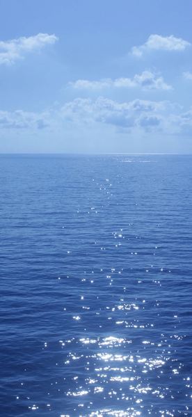 35岁职场危机怎么应对自救手册:从今天开始改变(习惯养成) 35岁职场危机怎么应对自救手册:从今天开始改变(习惯养成)