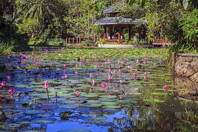 月亮星座比太阳星座更准吗的正确打开方式,建议收藏 月亮星座比太阳星座更准吗的正确打开方式,建议收藏