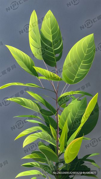 i人和e人什么意思MBTI?资深心理师总结的7条建议 i人和e人什么意思MBTI?资深心理师总结的7条建议