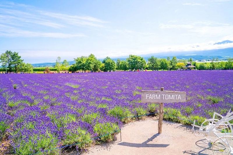 一位老公妈宝男怎么改变他的读者来信,看哭了无数人 —— 性心理学必读 一位老公妈宝男怎么改变他的读者来信,看哭了无数人 —— 性心理学必读