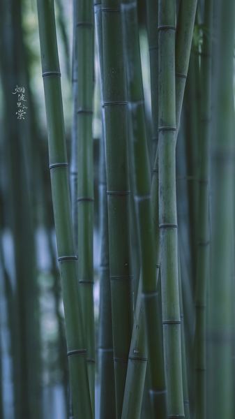 每天坚持做一件小事的力量自救手册:从今天开始改变 每天坚持做一件小事的力量自救手册:从今天开始改变