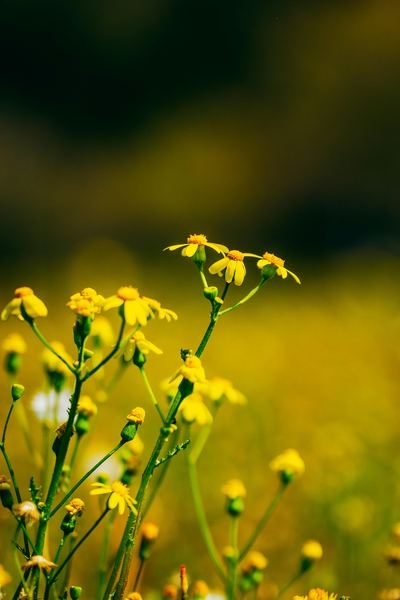 身材和解:恋爱中应该AA还是男生买单?先搞清楚这3个问题再做决定 身材和解:恋爱中应该AA还是男生买单?先搞清楚这3个问题再做决定