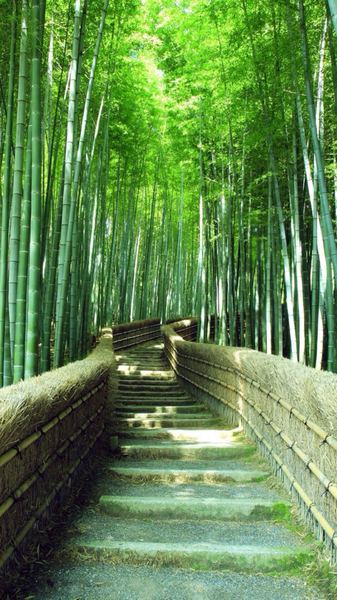 怎么交到真心朋友?这篇文章帮你理清思路 怎么交到真心朋友?这篇文章帮你理清思路