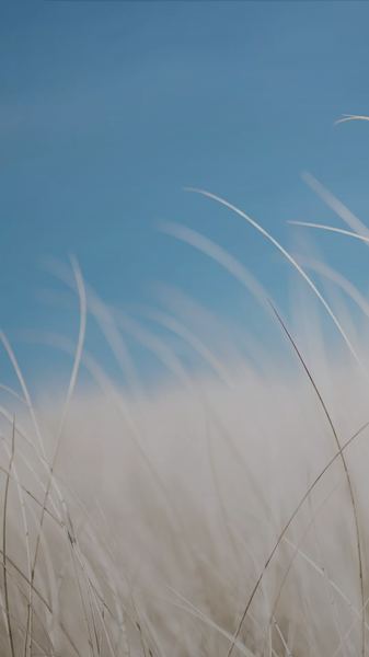 没有背景的普通人怎么逆袭?心理咨询师给你说几句真心话 没有背景的普通人怎么逆袭?心理咨询师给你说几句真心话