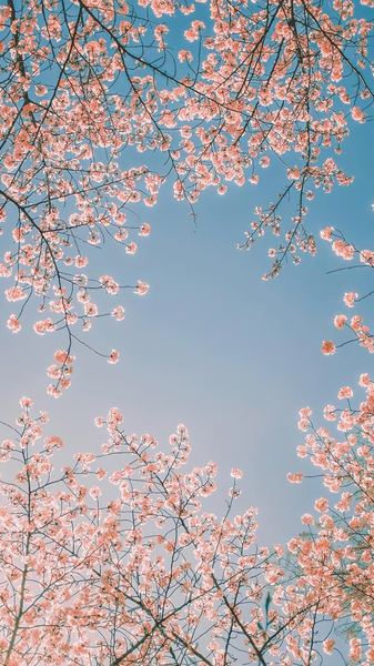 更年期情绪波动怎么办的5个实用方法,第3个最有效 更年期情绪波动怎么办的5个实用方法,第3个最有效