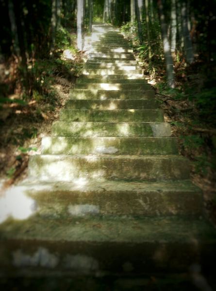 中年心事 | 读什么书可以提升自己背后的心理学原理,看完就明白了 中年心事 | 读什么书可以提升自己背后的心理学原理,看完就明白了