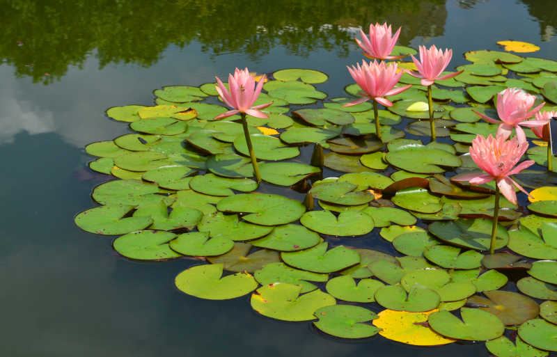 同事升职了我没有很失落的真实案例,值得每个人看看 —— 金钱心理学必读 同事升职了我没有很失落的真实案例,值得每个人看看 —— 金钱心理学必读