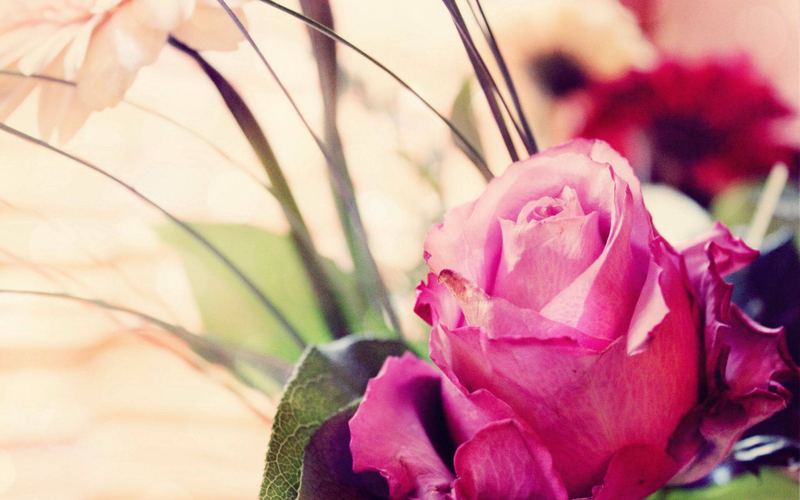 心理咨询师怎么选全面解析:原因+方法+避坑指南 心理咨询师怎么选全面解析:原因+方法+避坑指南