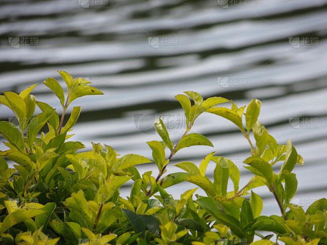 拖延症是心理疾病吗自救手册:从今天开始改变 —— 告别拖延必读 拖延症是心理疾病吗自救手册:从今天开始改变 —— 告别拖延必读