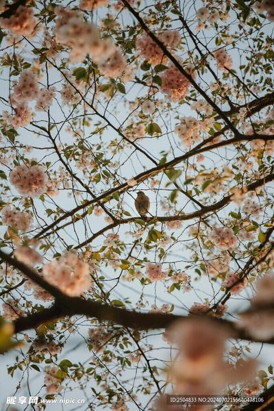 农村出来的孩子怎么改变命运?心理学家推荐的4步自救指南 农村出来的孩子怎么改变命运?心理学家推荐的4步自救指南