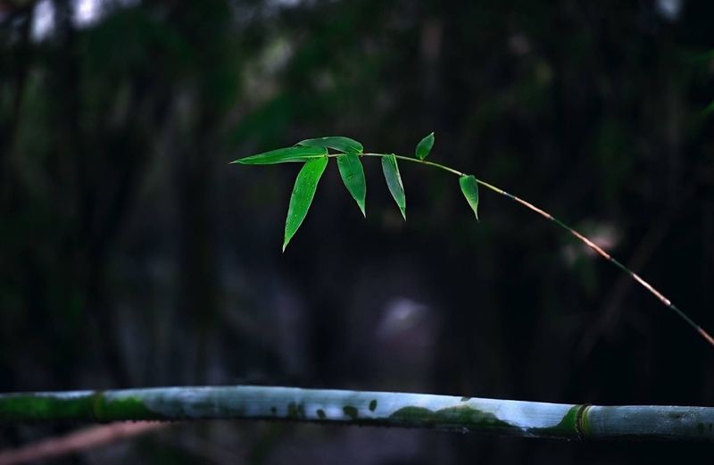 失眠怎么快速入睡小妙招?心理学教你正确应对 —— 孤独与自我必读 失眠怎么快速入睡小妙招?心理学教你正确应对 —— 孤独与自我必读