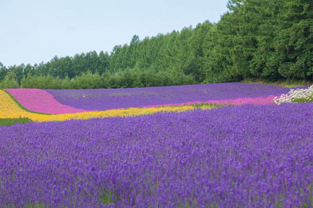 内耗自救 | 人到中年上有老下有小的感悟?看完这篇你会豁然开朗 内耗自救 | 人到中年上有老下有小的感悟?看完这篇你会豁然开朗