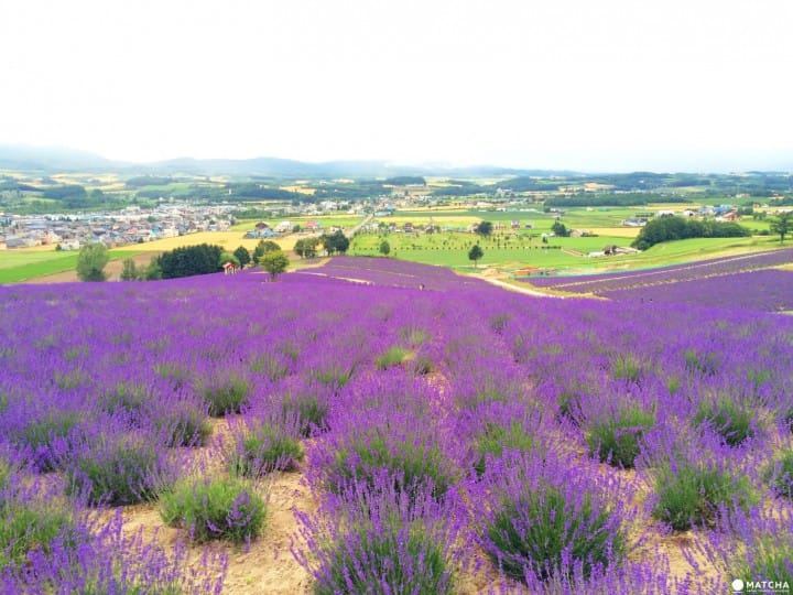 i人和e人什么意思MBTI背后的心理学原理,看完就明白了 i人和e人什么意思MBTI背后的心理学原理,看完就明白了