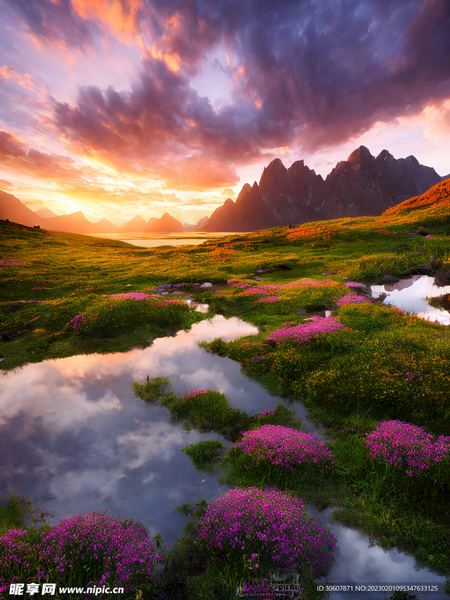 摩羯座不回消息是什么意思?这篇文章帮你理清思路 摩羯座不回消息是什么意思?这篇文章帮你理清思路