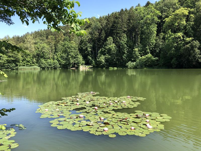 自律养成 | 抑郁症患者的自愈故事?90%的人都踩过这个坑 自律养成 | 抑郁症患者的自愈故事?90%的人都踩过这个坑