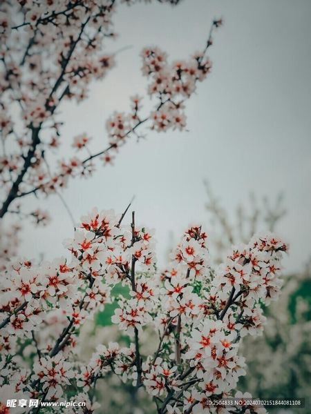 关于读什么书可以提升自己,一个真实故事改变了我的看法 关于读什么书可以提升自己,一个真实故事改变了我的看法