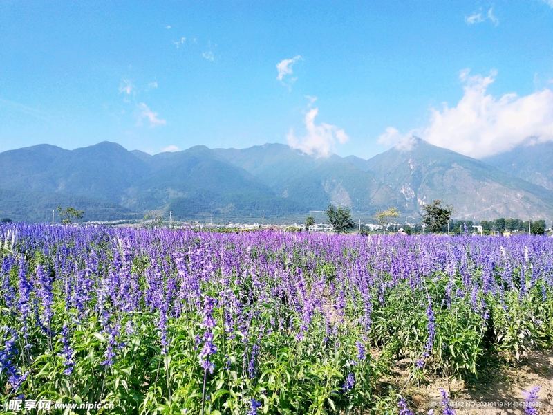 如何培养强大的内心 如何培养强大的内心