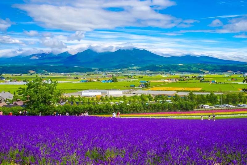 一位轻度抑郁症的表现有哪些的读者来信,看哭了无数人 一位轻度抑郁症的表现有哪些的读者来信,看哭了无数人