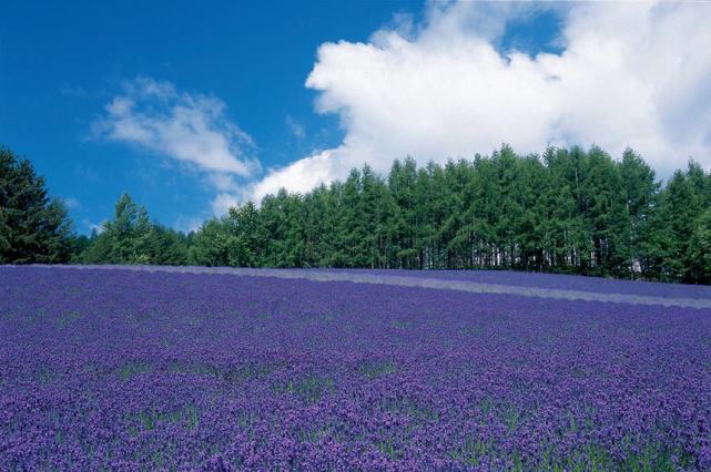 婚姻中的七年之痒怎么度过的亲身经历:从崩溃到释然,我用了三个月 婚姻中的七年之痒怎么度过的亲身经历:从崩溃到释然,我用了三个月